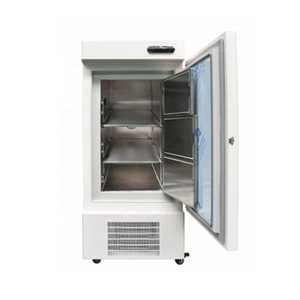 Bagaimana cara memperbaiki freezer suhu sangat rendah yang rusak?